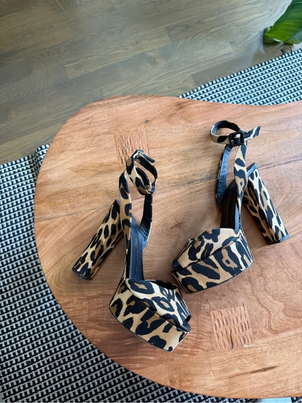 Giuseppe Zanotti giuseppe zanotti